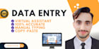 do fastest data entry in 1 day and copy paste