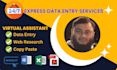 do data entry, web research, and virtual assistant jobs