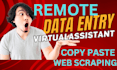 do remote data entry, copy paste any types of industries