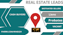 do real estate leads generation by paid tools
