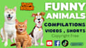 create 1500 funny animals shorts, youtube shorts, shorts videos within 24hr