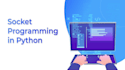 python socket programming expert for network applications
