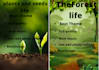 make iconic plants life and nature life video