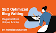 provide SEO optimized blog writing