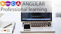 teach you angular to become an expert