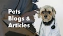 write SEO cat, dog, and exotic pet blog posts and articles