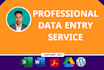 do excel data entry web research copy paste and pdf to excel work