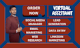be your professional virtual assistant