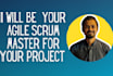 be agile scrum master for your project