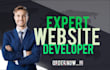 design professional website for your e commerce and business