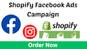 setup shopify facebook ads campaign for viral salse