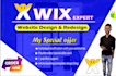 do wix ecommerce website, wix design and wix website redesign