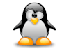 fix any problems related to Linux