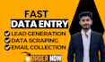 do data extraction, data entry, data hunting, email collection and data research