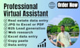do perfect best data entry and ms office