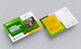 design postcard, eddm, direct mail, and media kit