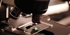 do projects related to metallurgy and materials engineering