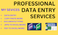 do professional data entry and copy paste job