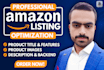 write a professional amazon listing with SEO description that sells
