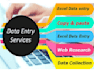 do web search and excel data entry