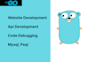 develop websites, apis and debug the code using golang