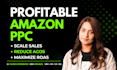 setup and optimize amazon ads campaigns, amazon PPC campaign