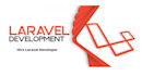 develop, fix bugs, deploy your laravel web application