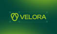 professionally elevate your brand create logo for business