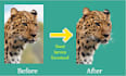remove background from photos and images