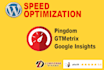 provide speed optimization for your wordpress website