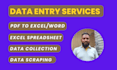 do accurate and efficient data entry service