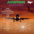 do aviation articles, report, content, research, essay, manual, assignment