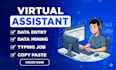 be your virtual assistant for data entry, data mining, copy paste, web research