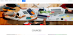 professional website design in low budget
