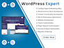 wordpress website development and resolve issues