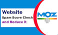 disavow spammy backlinks to decrease spam score for the site