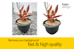 do retouching, background removal and photoshop editing