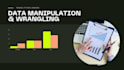 data wrangling, cleaning, manipulation, and visualization in pandas python