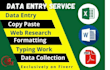 do excel data entry, copy paste, PDF to excel, web research