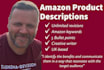 write your amazon SEO product description or listing