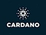 build smart contracts using aiken on cardano setup nodes,mint tokens,stakepools
