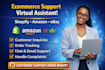 be your ecommerce customer support virtual assistant