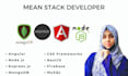 develop a professional mean stack web application
