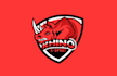 design beautiful rhino logo for your business in sort time