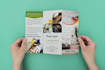 do residential construction  maintenance flyer design