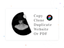 copy, duplicate, redesign any website, or PDF to figma