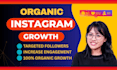 do super fast organic instagram growth