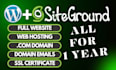 deliver website including domain, hosting, and emails for one year