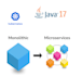 dvelop a java microservice for you