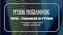 teach you basic python programming